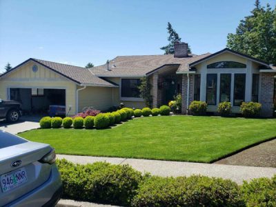 Custom Garage Doors