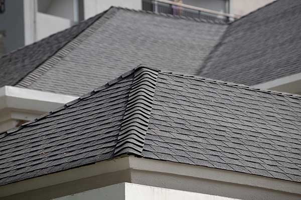 Professional Roofing Services