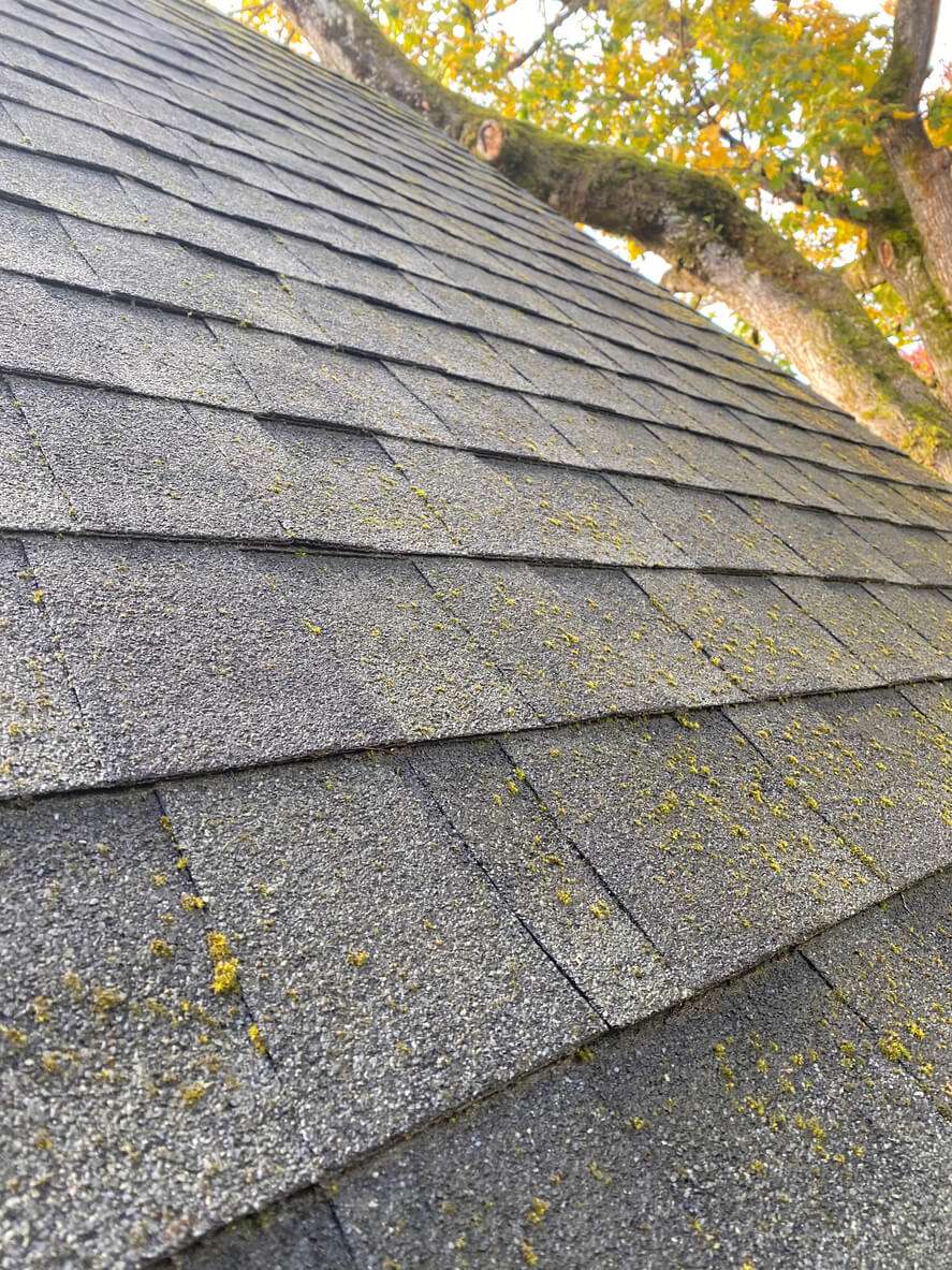 Roof Replacement Timing