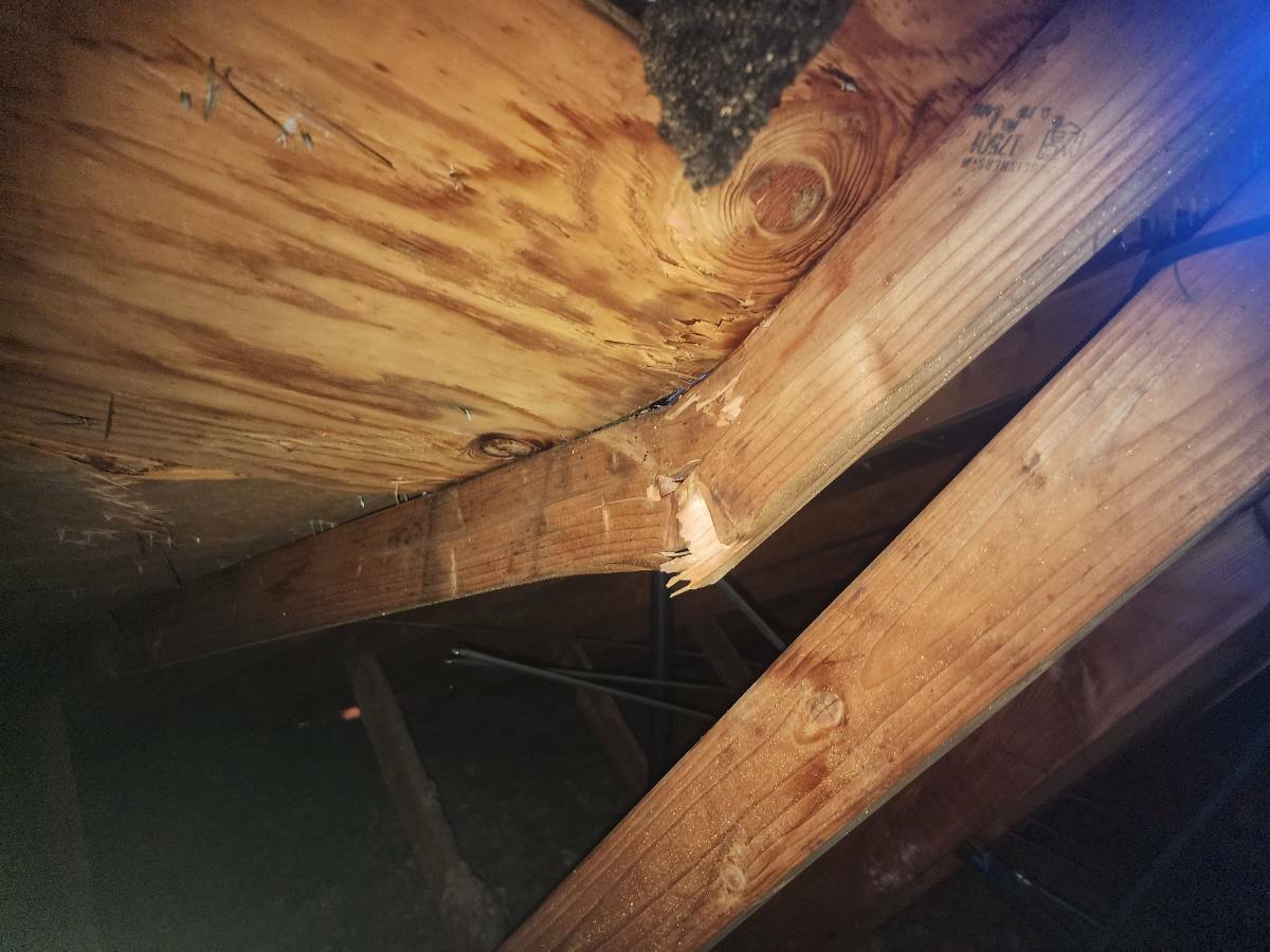 Close-up inside the attic showing a broken engineered roof truss caused by the January 2024 tree impact